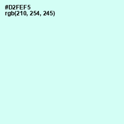 #D2FEF5 - Foam Color Image