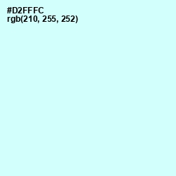 #D2FFFC - Foam Color Image