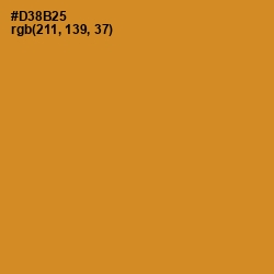 #D38B25 - Brandy Punch Color Image