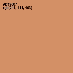 #D39067 - Whiskey Color Image