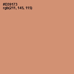 #D39173 - Burning Sand Color Image