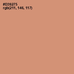 #D39275 - Burning Sand Color Image