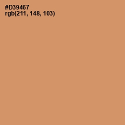 #D39467 - Whiskey Color Image