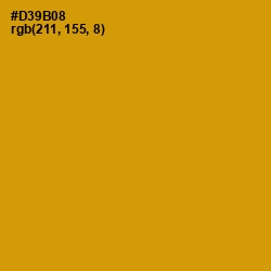 #D39B08 - Pizza Color Image