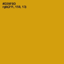 #D39F0D - Pizza Color Image