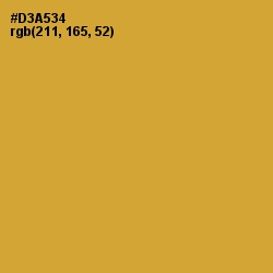 #D3A534 - Hokey Pokey Color Image