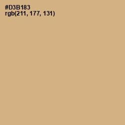 #D3B183 - Tan Color Image