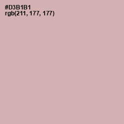 #D3B1B1 - Blossom Color Image