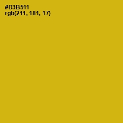 #D3B511 - Gold Tips Color Image