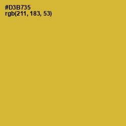 #D3B735 - Old Gold Color Image