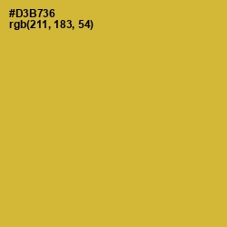 #D3B736 - Old Gold Color Image