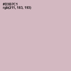 #D3B7C1 - Pale Slate Color Image