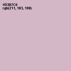 #D3B7C6 - Pale Slate Color Image