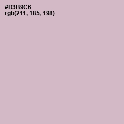 #D3B9C6 - Pale Slate Color Image