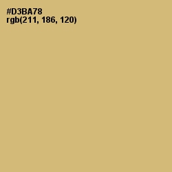 #D3BA78 - Apache Color Image