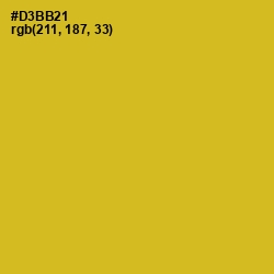 #D3BB21 - Golden Grass Color Image