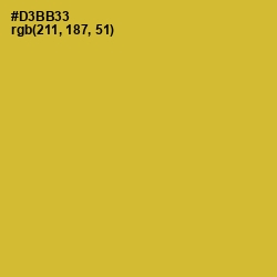 #D3BB33 - Old Gold Color Image