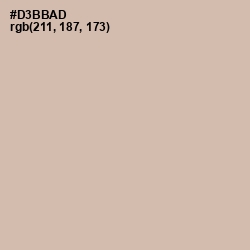 #D3BBAD - Vanilla Color Image