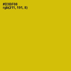 #D3BF08 - Galliano Color Image