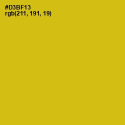 #D3BF13 - Gold Tips Color Image