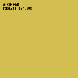 #D3BF50 - Turmeric Color Image