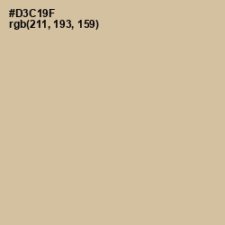 #D3C19F - Pavlova Color Image