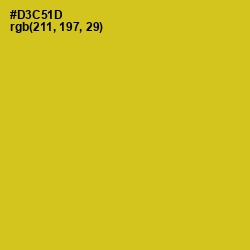 #D3C51D - Bird Flower Color Image