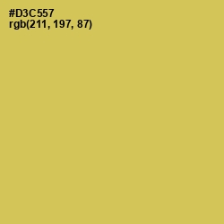 #D3C557 - Wattle Color Image