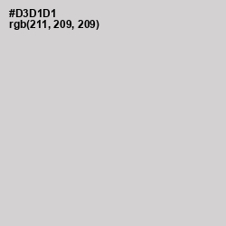 #D3D1D1 - Quill Gray Color Image