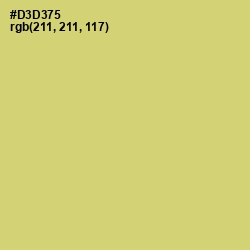 #D3D375 - Chenin Color Image