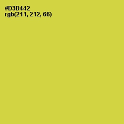 #D3D442 - Wattle Color Image