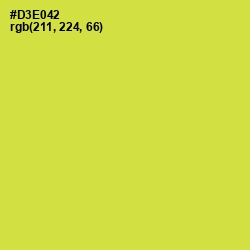#D3E042 - Wattle Color Image
