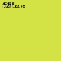 #D3E245 - Wattle Color Image