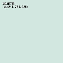 #D3E7E1 - Granny Apple Color Image