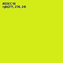#D3EC18 - Las Palmas Color Image