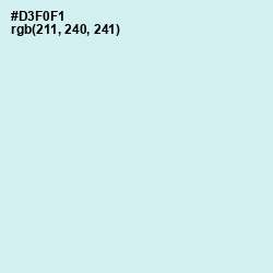 #D3F0F1 - Iceberg Color Image