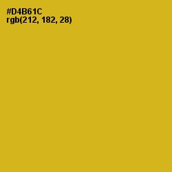 #D4B61C - Gold Tips Color Image