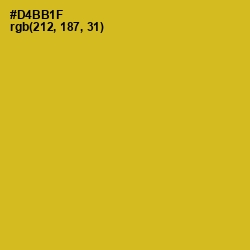 #D4BB1F - Gold Tips Color Image