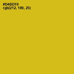 #D4BD19 - Gold Tips Color Image