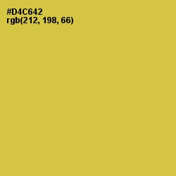 #D4C642 - Wattle Color Image