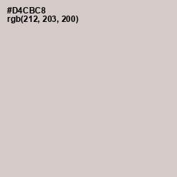 #D4CBC8 - Swirl Color Image