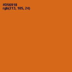 #D56918 - Hot Cinnamon Color Image
