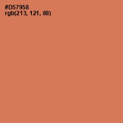 #D57958 - Raw Sienna Color Image