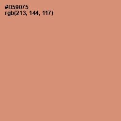 #D59075 - Burning Sand Color Image