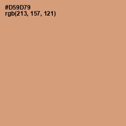 #D59D79 - Burning Sand Color Image