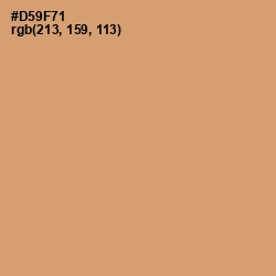 #D59F71 - Burning Sand Color Image