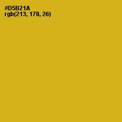 #D5B21A - Gold Tips Color Image