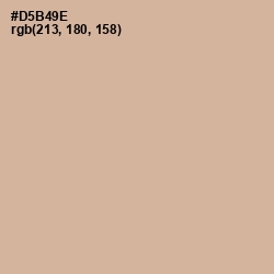 #D5B49E - Cameo Color Image