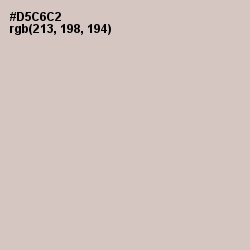#D5C6C2 - Swirl Color Image