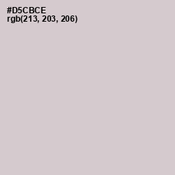 #D5CBCE - Swirl Color Image